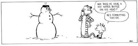 calvin et hobbes 4